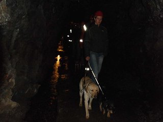 2010-05-24_ntb_9358