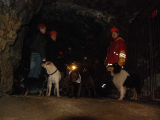 2010-05-24_ntb_9361