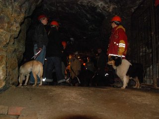 2010-05-24_ntb_9362