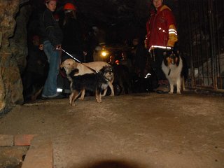 2010-05-24_ntb_9363