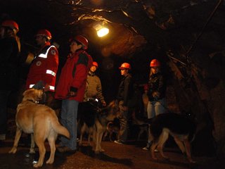 2010-05-24_ntb_9366