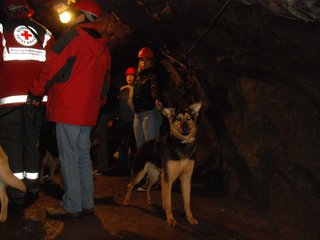 2010-05-24_ntb_9367