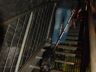 2010-05-24_ntb_9370