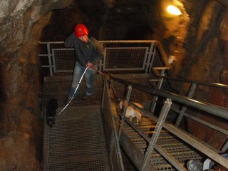2010-05-24_ntb_9371