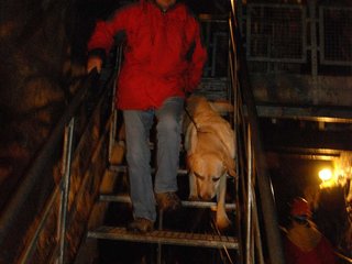 2010-05-24_ntb_9373