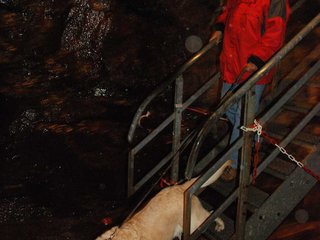 2010-05-24_ntb_9374