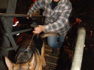 2010-05-24_ntb_9384