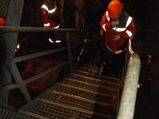 2010-05-24_ntb_9386