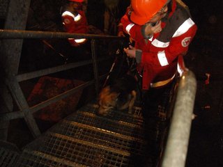 2010-05-24_ntb_9387