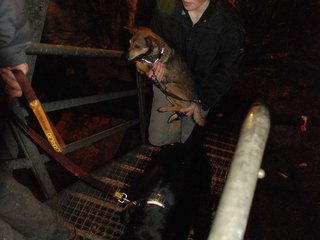 2010-05-24_ntb_9390