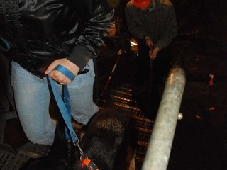 2010-05-24_ntb_9392