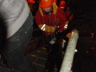 2010-05-24_ntb_9394