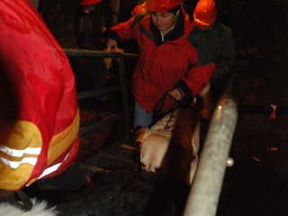 2010-05-24_ntb_9395