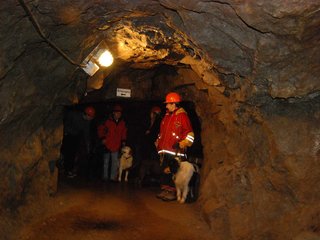 2010-05-24_ntb_9400