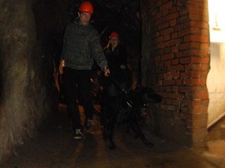 2010-05-24_ntb_9402