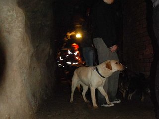 2010-05-24_ntb_9403