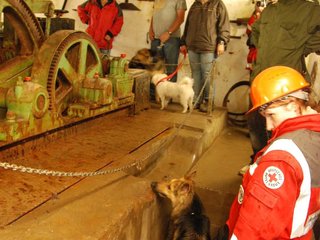 2010-05-24_ntb_9405