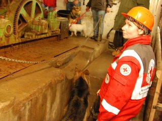 2010-05-24_ntb_9407