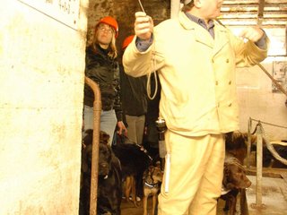 2010-05-24_ntb_9408