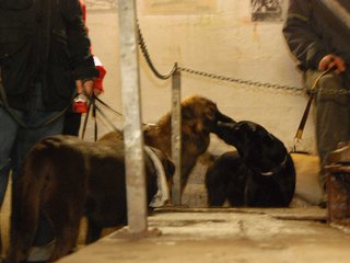 2010-05-24_ntb_9409
