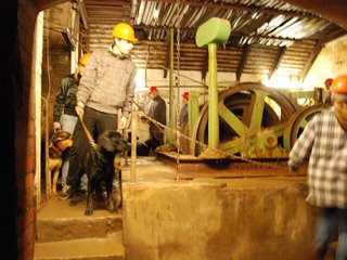 2010-05-24_ntb_9413