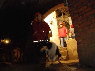 2010-05-24_ntb_9414