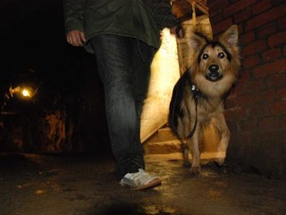 2010-05-24_ntb_9418
