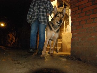 2010-05-24_ntb_9420