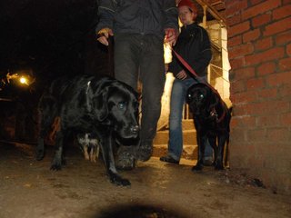 2010-05-24_ntb_9421
