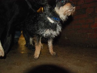 2010-05-24_ntb_9422