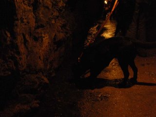 2010-05-24_ntb_9423
