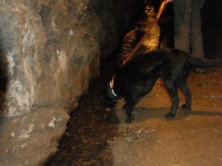 2010-05-24_ntb_9424