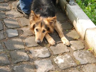 2010-05-24_ntb_9426