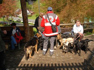 2010-05-24_ntb_9428