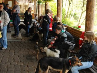 2010-05-24_ntb_9429