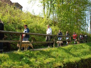 2010-05-24_ntb_9430