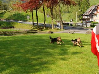 2010-05-24_ntb_9444