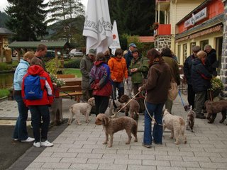 2009-10-03_ntb_9240