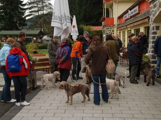2009-10-03_ntb_9241