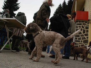 2009-10-03_ntb_9244