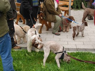 2009-10-03_ntb_9245