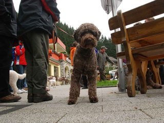 2009-10-03_ntb_9249