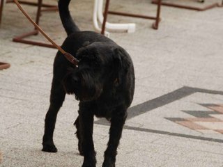 2009-10-03_ntb_9253
