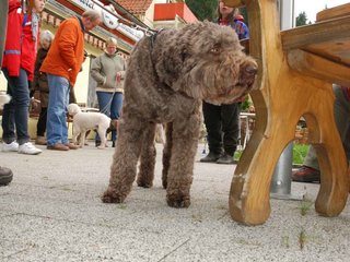 2009-10-03_ntb_9254