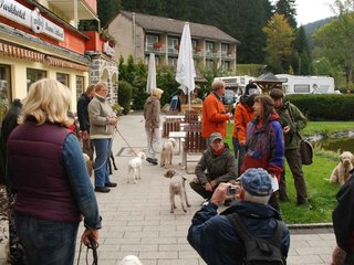 2009-10-03_ntb_9255