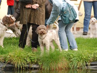 2009-10-03_ntb_9266