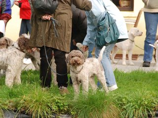 2009-10-03_ntb_9267