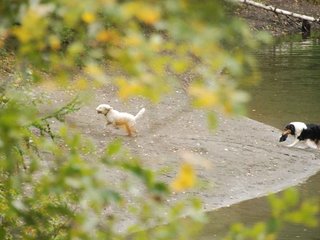 2009-10-03_ntb_9269