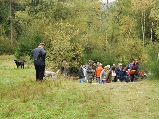 2009-10-03_ntb_9270