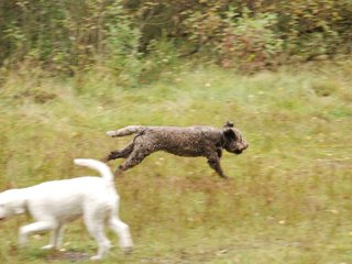 2009-10-03_ntb_9273